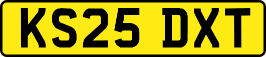 KS25DXT