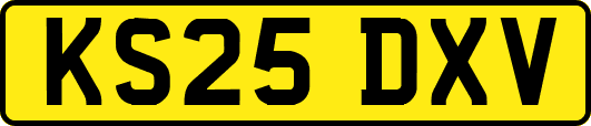 KS25DXV