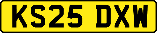 KS25DXW