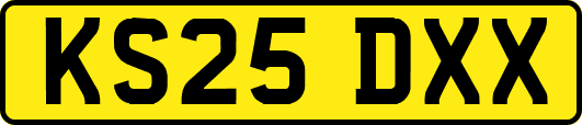 KS25DXX
