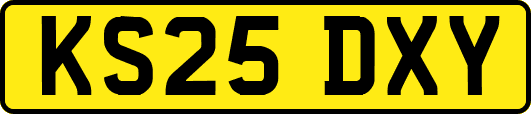 KS25DXY