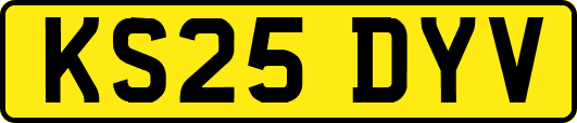 KS25DYV