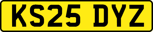KS25DYZ