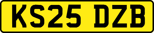 KS25DZB