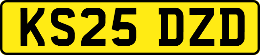 KS25DZD