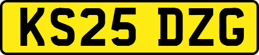 KS25DZG