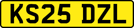 KS25DZL