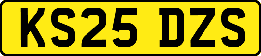 KS25DZS