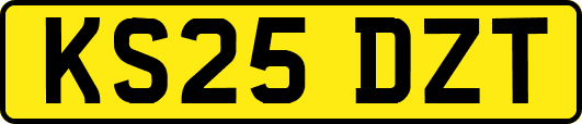 KS25DZT