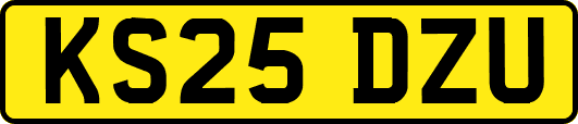 KS25DZU