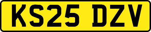KS25DZV