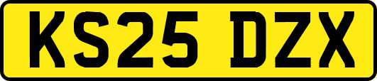 KS25DZX