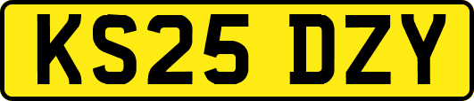 KS25DZY