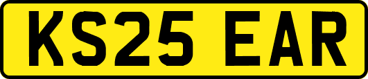 KS25EAR