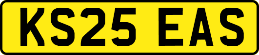 KS25EAS