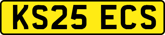 KS25ECS