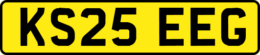 KS25EEG