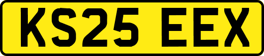 KS25EEX