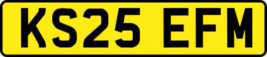 KS25EFM