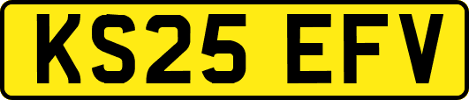 KS25EFV