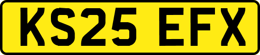 KS25EFX