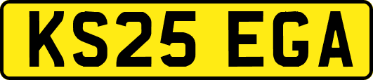 KS25EGA