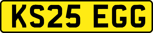 KS25EGG