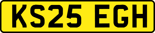 KS25EGH