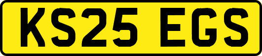 KS25EGS