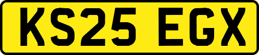 KS25EGX