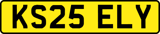 KS25ELY