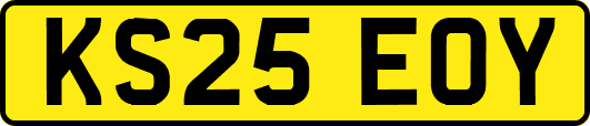KS25EOY