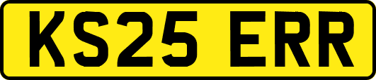 KS25ERR