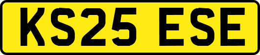 KS25ESE