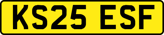 KS25ESF