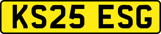 KS25ESG