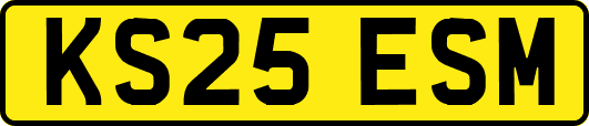 KS25ESM