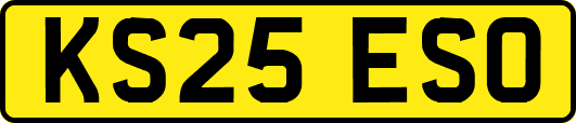 KS25ESO