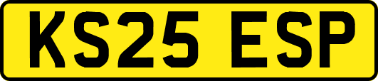 KS25ESP
