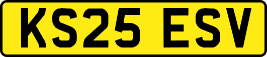 KS25ESV