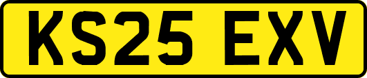 KS25EXV