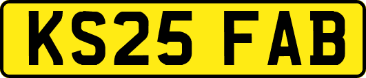 KS25FAB