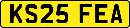 KS25FEA