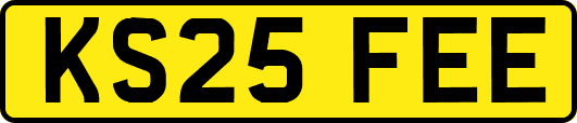 KS25FEE