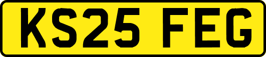 KS25FEG