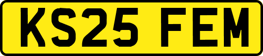 KS25FEM