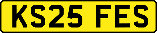 KS25FES