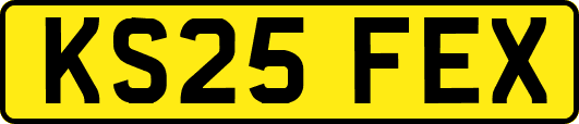 KS25FEX