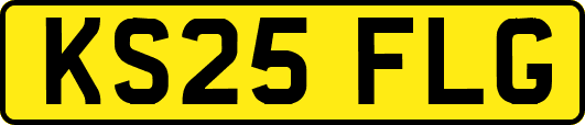 KS25FLG