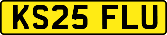 KS25FLU